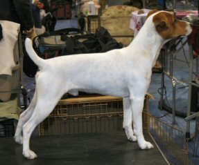 DorWin 9 Months Check