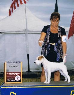 Gloria Nouvelle championne Amricaine